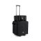 LD Systems DAVE 10 G4X BAG SET