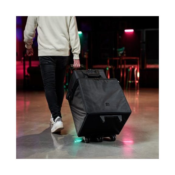 LD Systems DAVE 10 G4X BAG SET